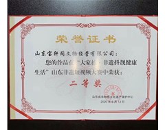 本司荣获全省二等奖